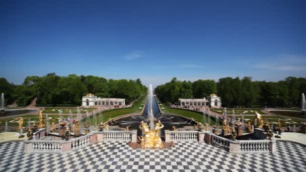 Fuentes, amplia vista desde Royal Petrodvorets, San Petersburgo — Vídeo de stock