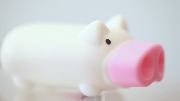 Plastic piggy with pink snout rolling around its axis — Stock Video