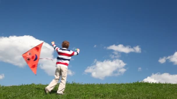 Хлопчик біжить з повітряним змієм на лузі — стокове відео