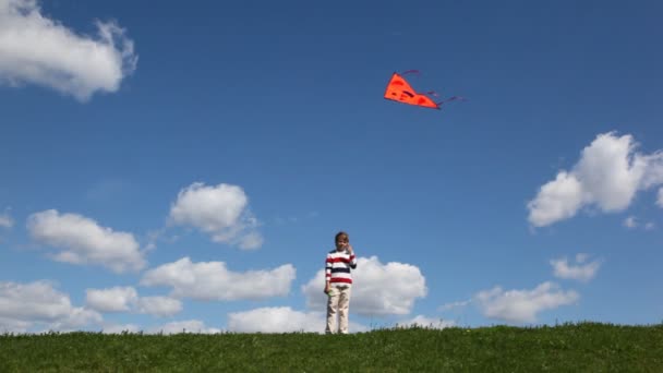 Pojke spelar med kite i äng — Stockvideo