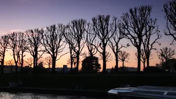 Båt flyter genom kanal nära bank sent på kvällen — Stockvideo