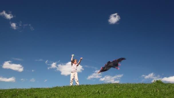 Boy launch black kite on field — Stock Video