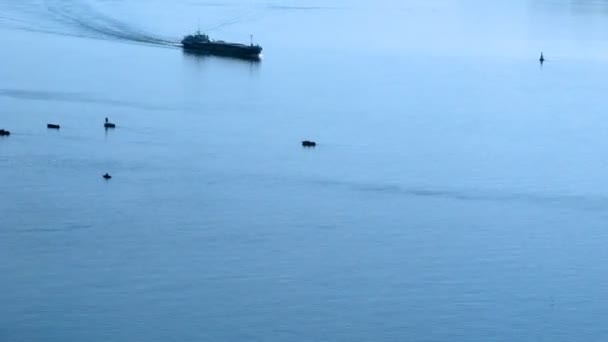 Dois navios a vapor passam perto de barcos de pesca no rio Volga — Vídeo de Stock
