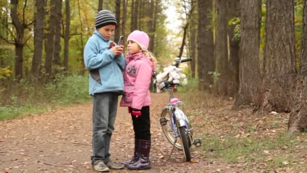 Kleiner Junge mit Handy und Mädchen stehen im Park. — Stockvideo