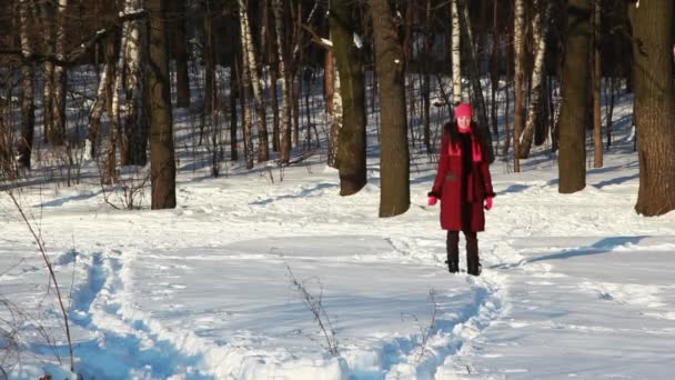 Ragazza nella foresta invernale corre attraverso la neve — Video Stock