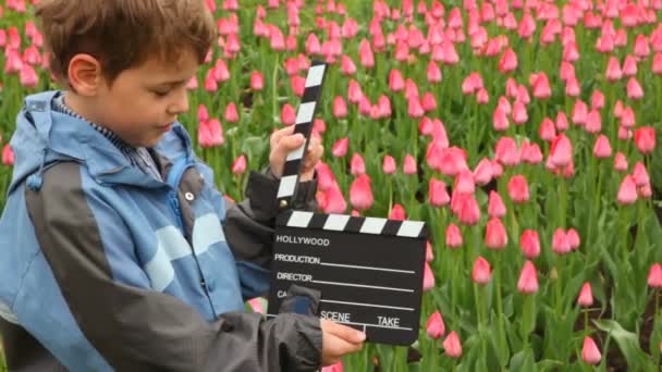 Fiú azt mondja, taps clapperboard sok rózsaszín tulipán mező — Stock videók