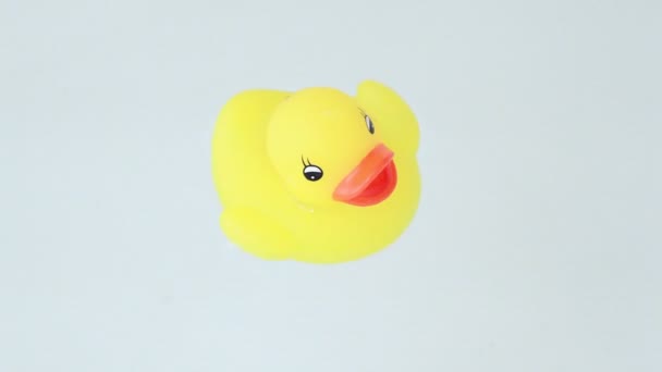 Closeup of duckling with color lights flashes floats water — Stock Video