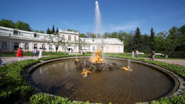 Brunnen Orangerie oder Triton, Reißen Chaps Marine Monster bei Petergof — Stockvideo