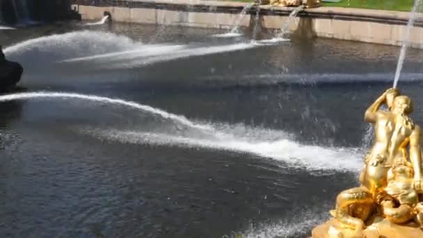 Fontes em frente a Royal Petrodvorets, São Petersburgo — Vídeo de Stock