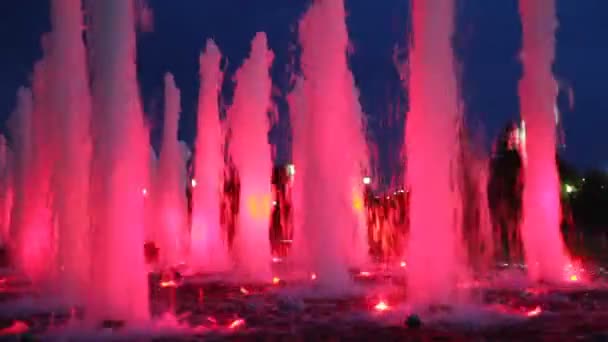Красивые светящиеся розовые фонтаны — стоковое видео