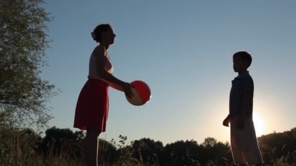 Frau und ihr Sohn spielen mit Ball im Park — Stockvideo