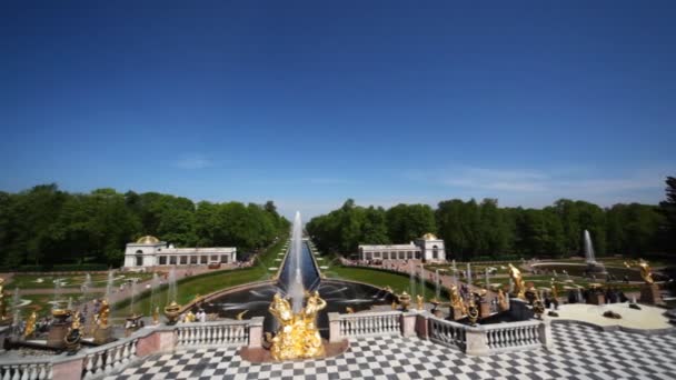 Fountains, wide-angle panorama from Royal Petrodvorets, Saint Petersburg — Stock Video