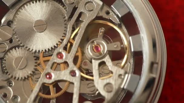 Ingranaggi mobili all'interno del meccanismo dell'orologio funzionante — Video Stock