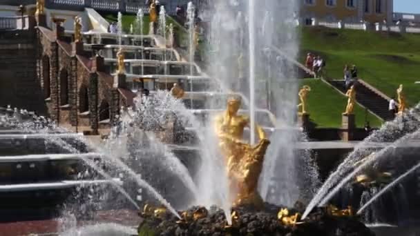 Brunnen Samson zerreißt Löwenmaul und Panorama links von Petergof — Stockvideo
