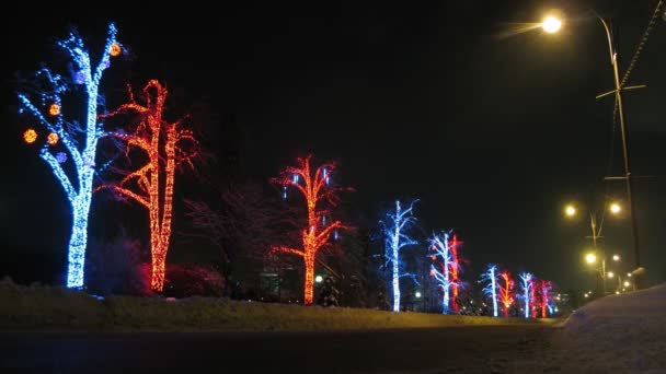 Veículos passam na frente de árvores iluminadas, lapso de tempo — Vídeo de Stock