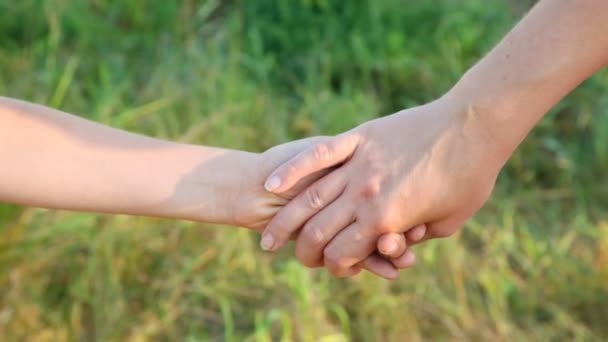 Les mains jointes de la femme et du garçon en plein air — Video