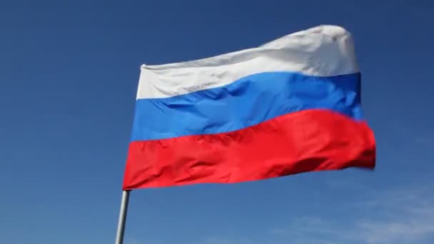 Stora ryska tricolor flaggan fladdrar i vinden — Stockvideo
