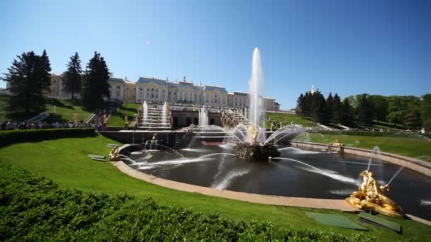 Plaza con fuente Sansón frente a Royal Petrodvorets — Vídeo de stock