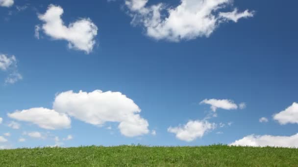 Chłopiec biegnie z latawca na wzgórzu — Wideo stockowe