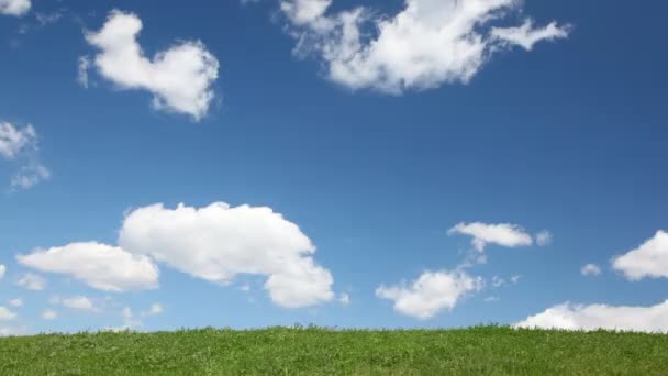 Boy runs with kite on hill — Stock Video