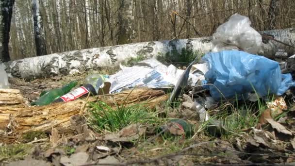 Панорама мусора в лесу, время прошло — стоковое видео