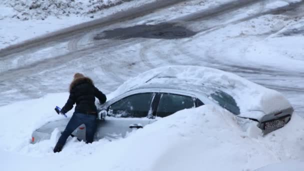 Woman try to dig out her car after snow storm — Stock Video