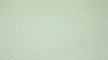hafif boyalı duvar tam ekran, aniden kertenkele ortaya
