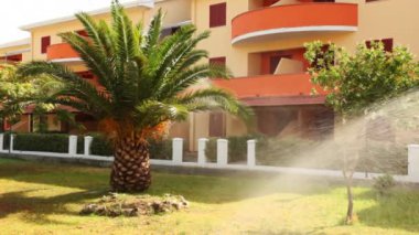 palm sulama sistemi suları ağaç ve ahşap otel önce güneşli günde