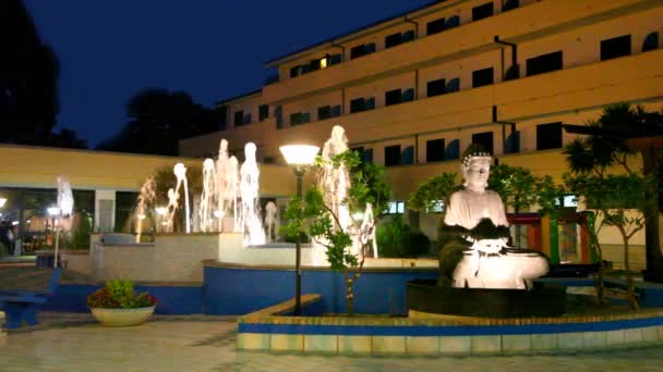 Night view of the fountain and statue of Buddha — Stock Video