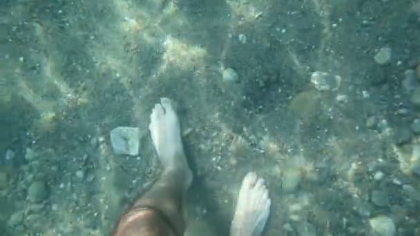 Мужские ноги ходят по морскому дну с галькой и рыбными пловцами — стоковое видео