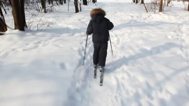 Jonge jongen ontsnapt op ski's uit camera — Stockvideo