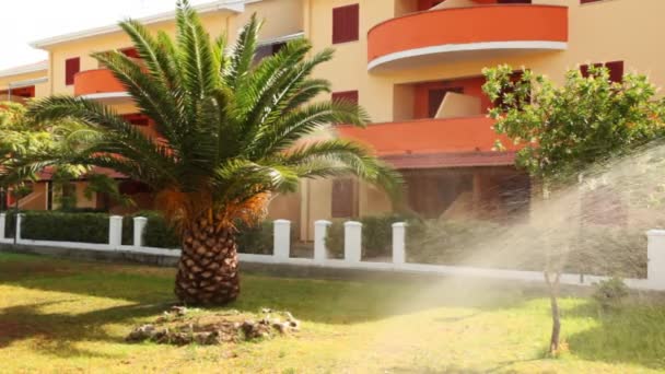 Irrigation system waters palm tree and wood before hotel on sunny day — Stock Video