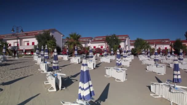 Many parasols and deckchairs standing on beach — Stock Video