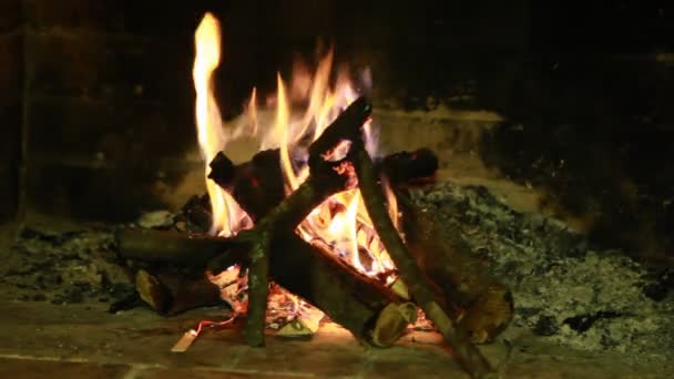 Grumes empilés brûlant dans une cheminée en pierre dans une maison confortable — Video