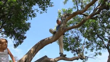 kardeş şehir parkındaki ağaç üzerinde oynamak