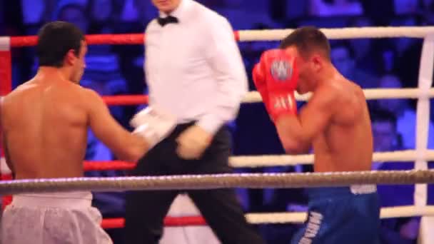 Combate de boxeo está en la sala iluminada BARVIKHA LUXURY VILLAGE — Vídeos de Stock