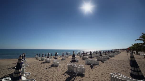 Molti ombrelloni e sedie a sdraio in piedi sulla spiaggia — Video Stock