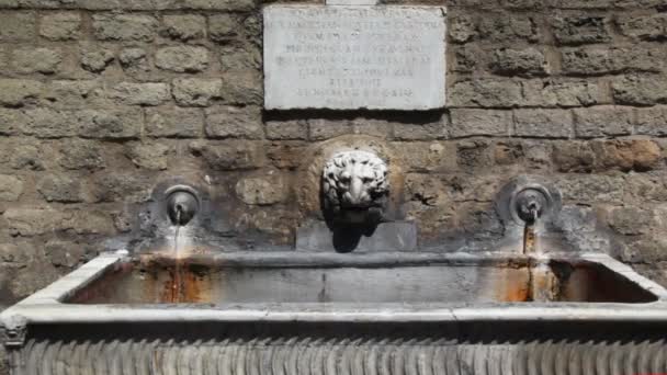 Lion head in center of two old water source — Stock Video