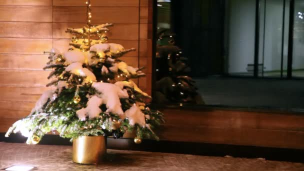 Элегантная ель стоит в золотом горшке — стоковое видео