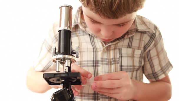 Μικρό αγόρι προετοιμασία δείγματος ρίχνει σε γυαλί διαφάνεια — Αρχείο Βίντεο