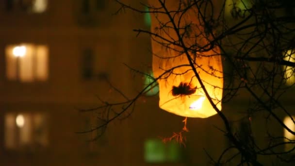 Gloeiende chinese lantern was verslaafd voor boom in de nacht — Stockvideo