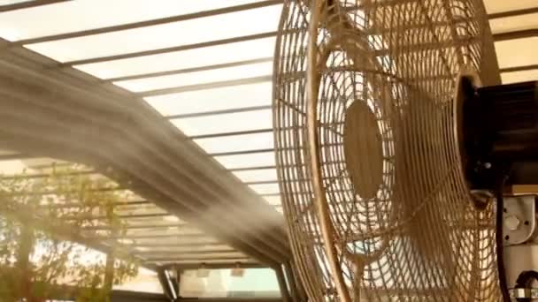 Il flusso d'aria dal ventilatore atomizza un getto d'acqua sulle piante — Video Stock