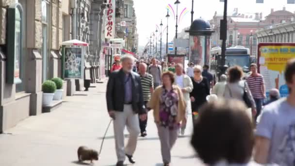 Люди ходят по тротуару Невского проспекта — стоковое видео