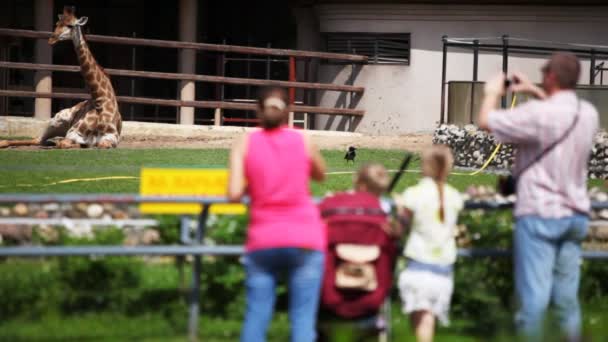 Rodina s odpočinek a take fotografie žirafy v zoo — Stock video