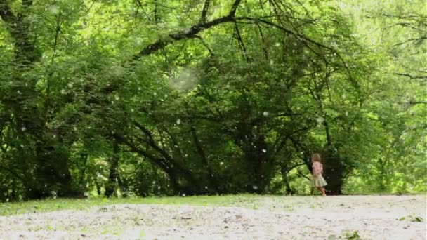 女孩站着远的在森林草甸所有被撒布的绒毛 — 图库视频影像
