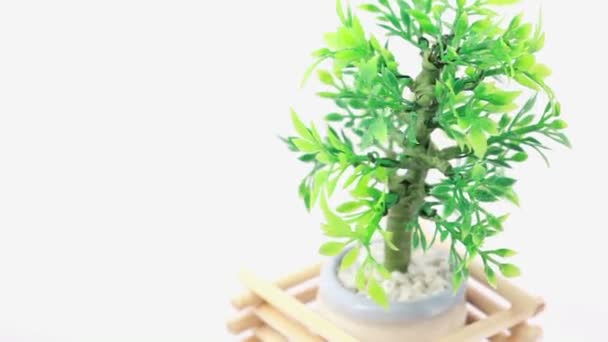 Künstliche Pflanze im Blumentopf, umkreist von Holzgittern, dreht sich gegen den Uhrzeigersinn — Stockvideo