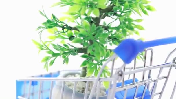 Artificial ornamental plant in flowerpot inside shopping trolley — Stock Video