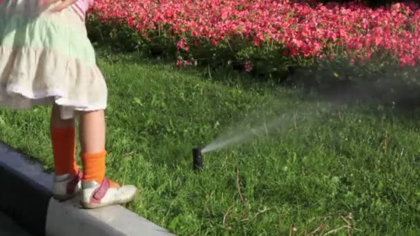 Girl sits on border and touch stream of water pours on flowerbed — Stock Video