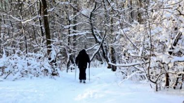 Boy skiing in warm sport clothes at forest covered by snow