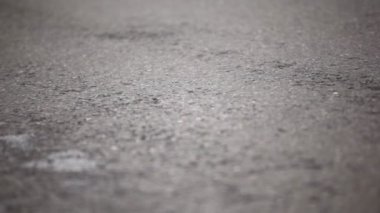 Adamın bacakları Koşu Ayakkabı ıslak asfalt üzerinde çalıştırın.